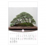 Kalendarz wieloplanszowy na rok 2024 Bonsai (zdjęcie 4)