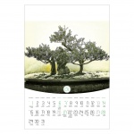 Kalendarz wieloplanszowy na rok 2024 Bonsai (zdjęcie 5)