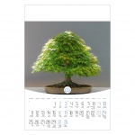Kalendarz wieloplanszowy na rok 2024 Bonsai (zdjęcie 6)