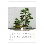 Kalendarz wieloplanszowy na rok 2024 Bonsai (zdjęcie 7)