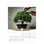 Kalendarz wieloplanszowy na rok 2024 Bonsai (zdjęcie 9)