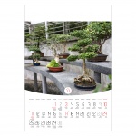 Kalendarz wieloplanszowy na rok 2024 Bonsai