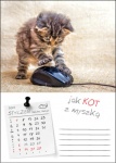 Kalendarz wieloplanszowy na rok 2024 Kot w biurze (zdjęcie 1)