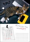 Kalendarz wieloplanszowy na rok 2024 Kot w biurze (zdjęcie 10)