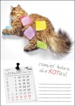 Kalendarz wieloplanszowy na rok 2024 Kot w biurze (zdjęcie 13)
