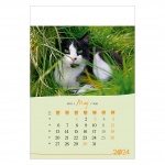 Kalendarz wieloplanszowy na rok 2024 Koty (zdjęcie 1)