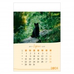 Kalendarz wieloplanszowy na rok 2024 Koty (zdjęcie 11)