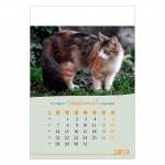 Kalendarz wieloplanszowy na rok 2024 Koty (zdjęcie 2)