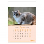 Kalendarz wieloplanszowy na rok 2024 Koty (zdjęcie 5)