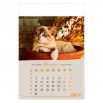 Kalendarz wieloplanszowy na rok 2024 Koty (zdjęcie 9)