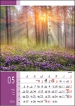 Kalendarz wieloplanszowy na rok 2024 Magiczna Polska (zdjęcie 10)