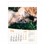 Kalendarz wieloplanszowy na rok 2024 Przyjaciele (zdjęcie 1)