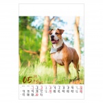 Kalendarz wieloplanszowy na rok 2024 Psy (zdjęcie 1)