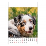 Kalendarz wieloplanszowy na rok 2024 Psy (zdjęcie 12)