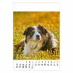 Kalendarz wieloplanszowy na rok 2024 Psy (zdjęcie 3)