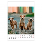Kalendarz wieloplanszowy na rok 2024 Psy (zdjęcie 4)