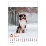 Kalendarz wieloplanszowy na rok 2024 Psy (zdjęcie 5)