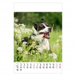 Kalendarz wieloplanszowy na rok 2024 Psy (zdjęcie 7)