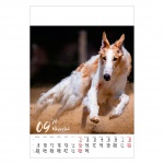 Kalendarz wieloplanszowy na rok 2024 Psy (zdjęcie 9)