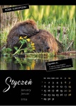 Kalendarz wieloplanszowy na rok 2024 Zwierzęta polskich lasów (zdjęcie 1)