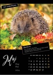 Kalendarz wieloplanszowy na rok 2024 Zwierzęta polskich lasów (zdjęcie 10)