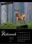Kalendarz wieloplanszowy na rok 2024 Zwierzęta polskich lasów (zdjęcie 11)