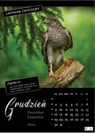 Kalendarz wieloplanszowy na rok 2024 Zwierzęta polskich lasów (zdjęcie 2)