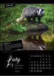 Kalendarz wieloplanszowy na rok 2024 Zwierzęta polskich lasów (zdjęcie 4)