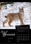 Kalendarz wieloplanszowy na rok 2024 Zwierzęta polskich lasów (zdjęcie 5)