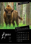 Kalendarz wieloplanszowy na rok 2024 Zwierzęta polskich lasów (zdjęcie 6)