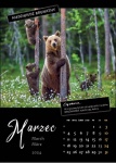 Kalendarz wieloplanszowy na rok 2024 Zwierzęta polskich lasów (zdjęcie 8)