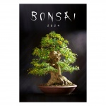 Kalendarz wieloplanszowy na rok 2025 Bonsai (zdjęcie 12)