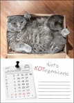 Kalendarz wieloplanszowy na rok 2025 Kot w biurze (zdjęcie 6)