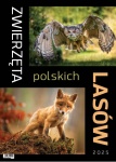 Kalendarz wieloplanszowy na rok 2025 Zwierzęta polskich lasów (zdjęcie 1)