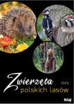 Kalendarz wieloplanszowy na rok 2025 Zwierzęta polskich lasów (zdjęcie 5)