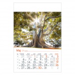 Kalendarze wieloplanszowe na rok 2024 Drzewa na wietrze (zdjęcie 1)