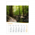 Kalendarze wieloplanszowe na rok 2024 Drzewa na wietrze (zdjęcie 8)