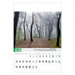 Kalendarze wieloplanszowe na rok 2024 Polskie parki narodowe (zdjęcie 6)