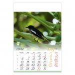 Kalendarze wieloplanszowe na rok 2024 Ptaki (zdjęcie 1)
