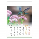 Kalendarze wieloplanszowe na rok 2024 Ptaki (zdjęcie 11)