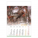 Kalendarze wieloplanszowe na rok 2024 Ptaki (zdjęcie 12)