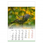 Kalendarze wieloplanszowe na rok 2024 Ptaki (zdjęcie 2)