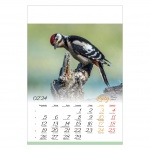 Kalendarze wieloplanszowe na rok 2024 Ptaki (zdjęcie 4)