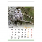 Kalendarze wieloplanszowe na rok 2024 Ptaki (zdjęcie 5)