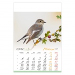 Kalendarze wieloplanszowe na rok 2024 Ptaki (zdjęcie 6)
