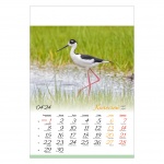Kalendarze wieloplanszowe na rok 2024 Ptaki (zdjęcie 7)
