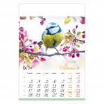 Kalendarze wieloplanszowe na rok 2024 Ptaki (zdjęcie 8)