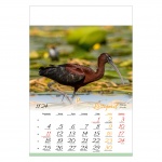 Kalendarze wieloplanszowe na rok 2024 Ptaki