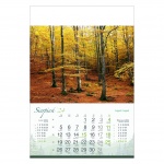 Kalendarze wieloplanszowe na rok 2024 Tajemniczy las (zdjęcie 3)