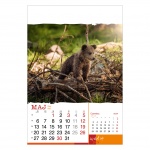 Kalendarze wieloplanszowe na rok 2024 Wild life (zdjęcie 1)